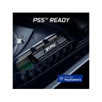 Kingston SSD 1TB NVMe M.2 Fury Renegade, PCIe 4.0R/W : 7300/6000MB/s, with heatisnk